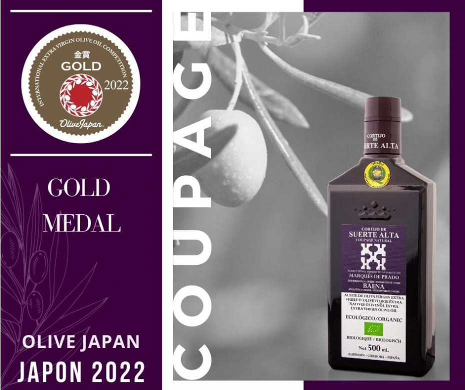 Coupage Natural galardonado en Olive Japan 2022