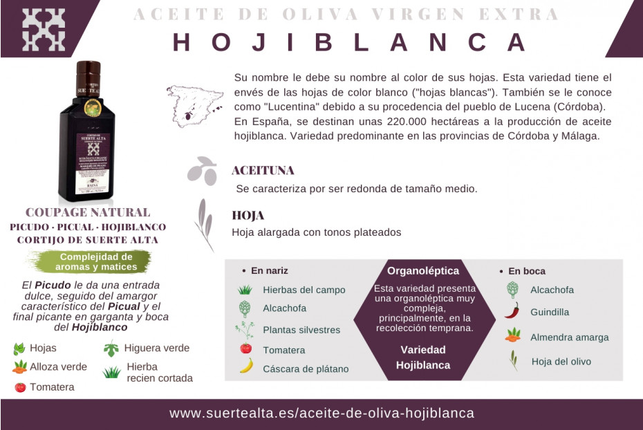  Hojiblanca Olive Oil
