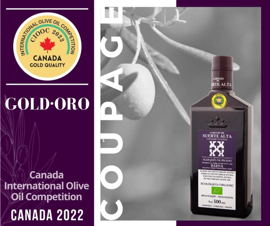 Coupage Natural galardonado en Canada IOOC 2022
