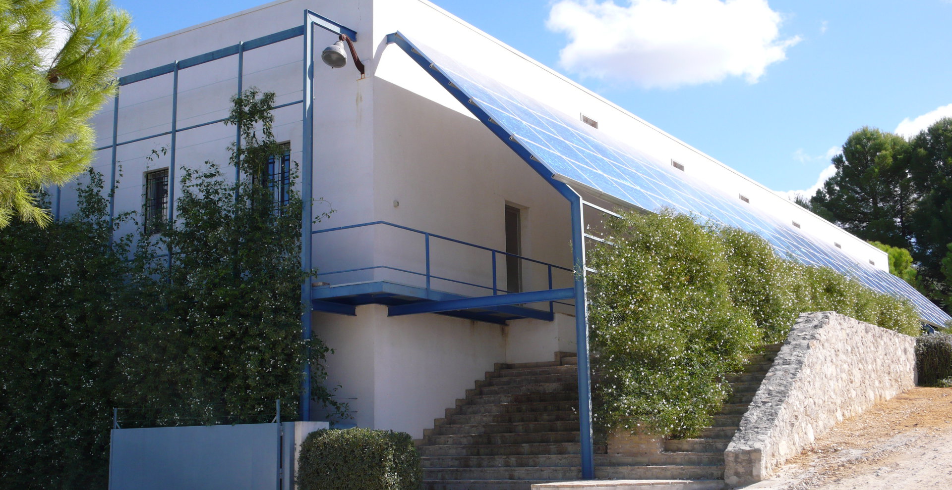 Cortijo Suerte Alta - Huile D’Olive Vierge Extra Biologique