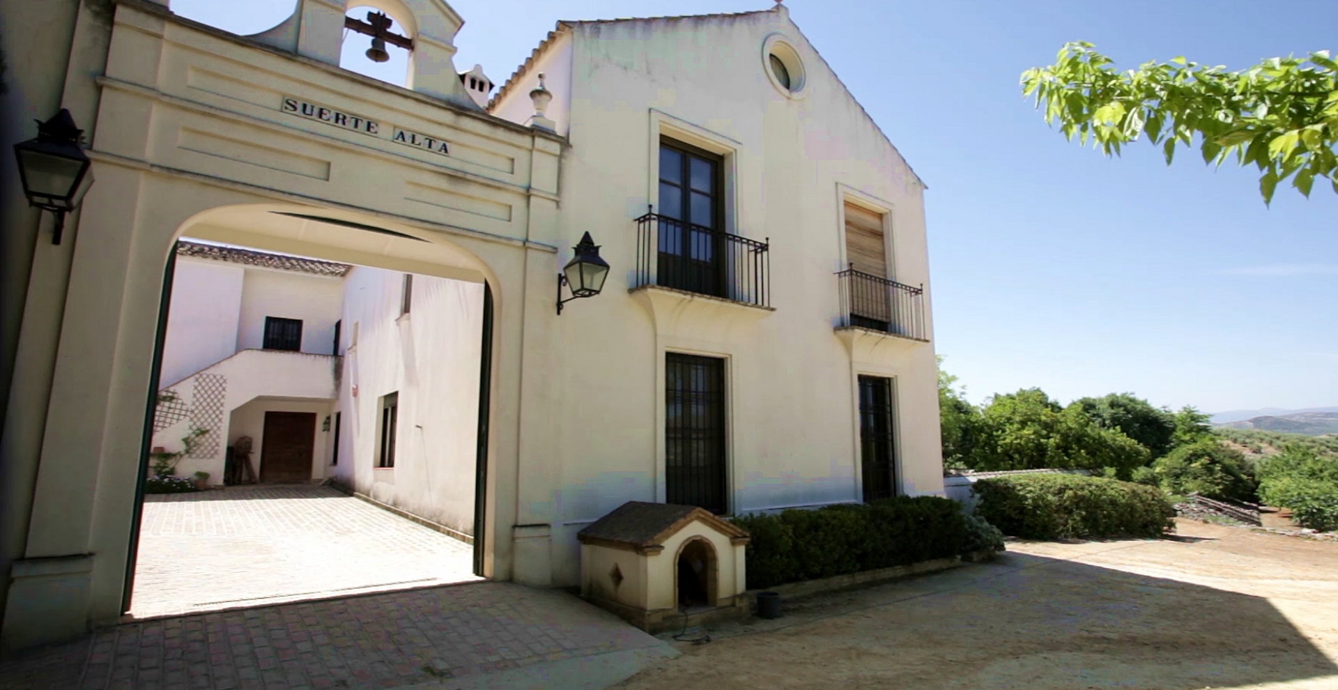 Cortijo Suerte Alta - Huile D’Olive Vierge Extra Biologique