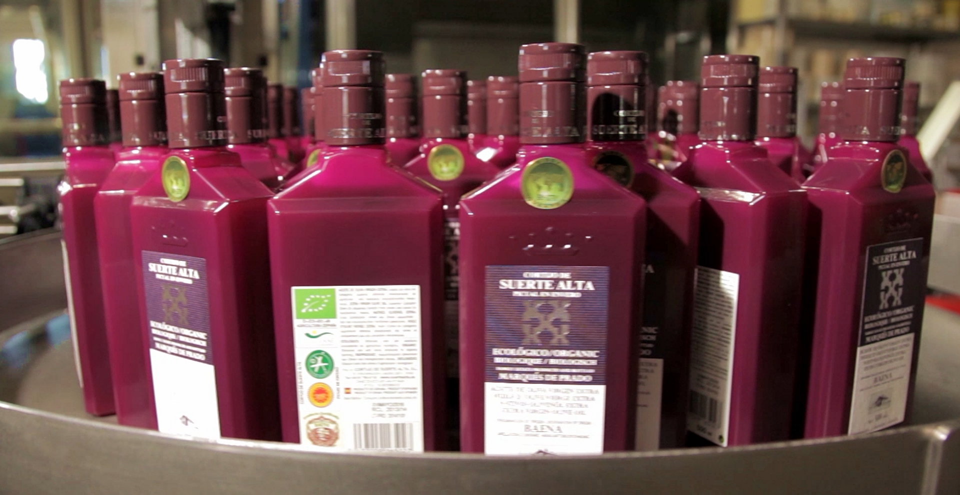 Cortijo Suerte Alta - Huile D’Olive Vierge Extra Biologique