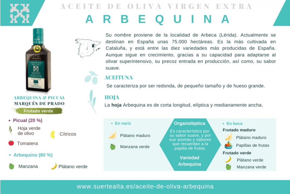  Huile d’Olive Arbequina