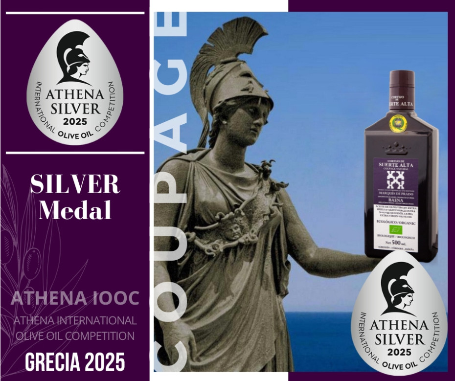 Coupage Natural galardonado en Athena IOOC 2025