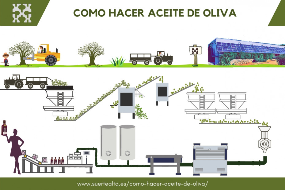  Fabrication de l’huile d'olive