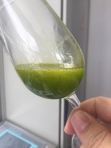 Aceite fresco de la nueva campaña 2018