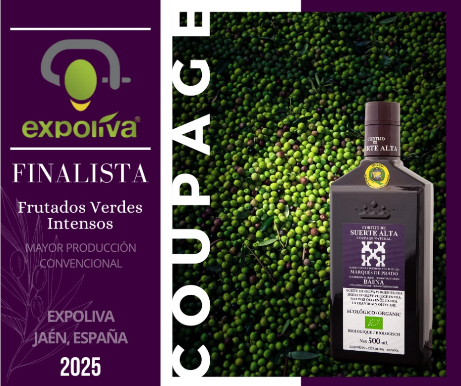 Coupage finalista en Expoliva 2025