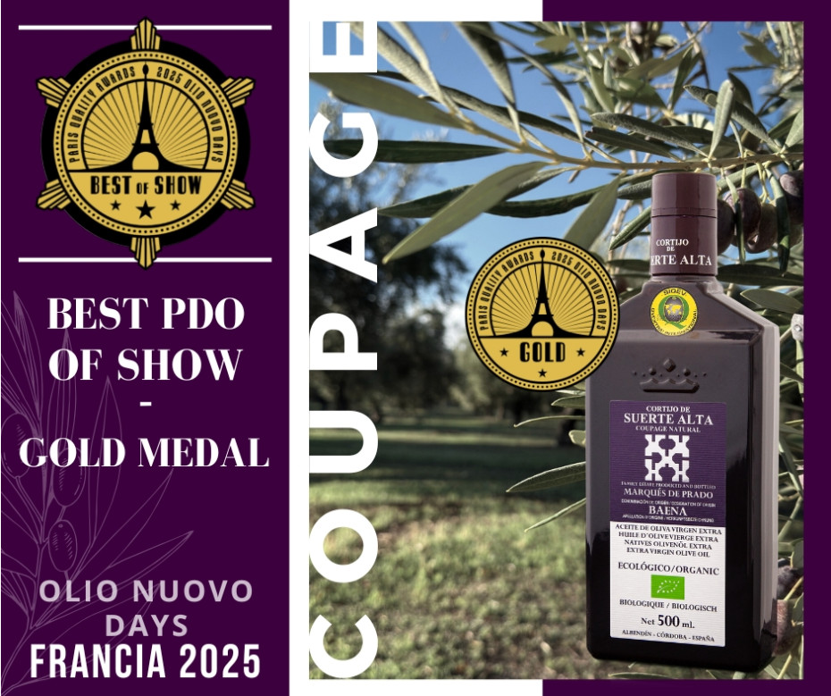 Coupage Natural galardonado en Olio Nuovo Days 2025