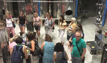 Cortijo de Suerte Alta