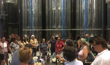 Cortijo de Suerte Alta