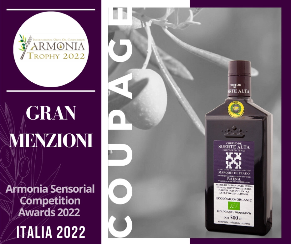 Coupage Natural galardonado en Armonia 2022