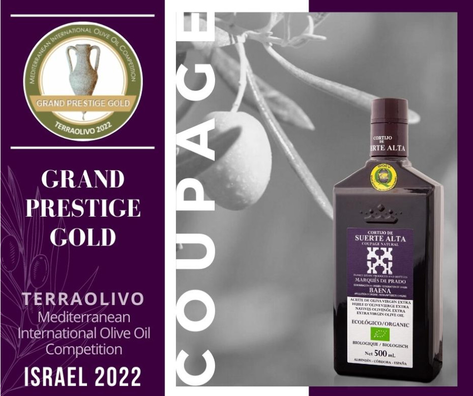 Coupage Natural galardonado en TerraOlivo Israel 2022