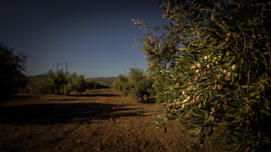 Suerte Alta en la Biofach de productos ecológicos en Núremberg